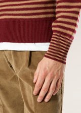 AAITOR BURGUNDY WOOL STRIPED TURTLENECK